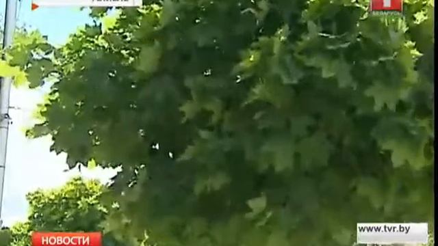 Гомель стал лучшим областным городом по санитарному состоянию и благоустройству смотреть онлайн