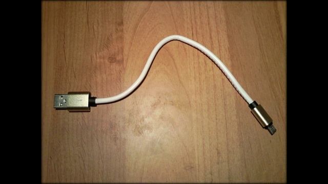 FORZA Шнур-брелок для зарядки micro USB 1А в кожаной оплетке с кольцом / Hikikomori 引きこもり Хикикомор смотреть онлайн