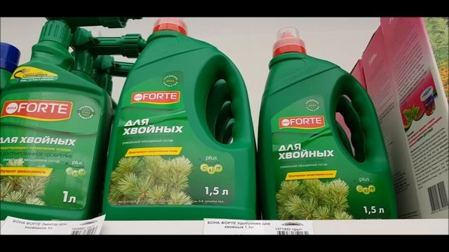 Пожелтение листьев на гортензиях. Хлороз. Как исправить? Часть 2 смотреть онлайн