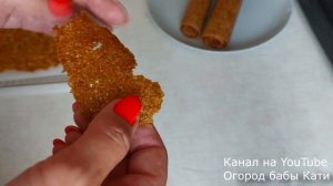 Рецепт пастилы,вяленой курицы и вяленых кальмаров к пиву в дегидраторе, сушилке Oberhof B-53.