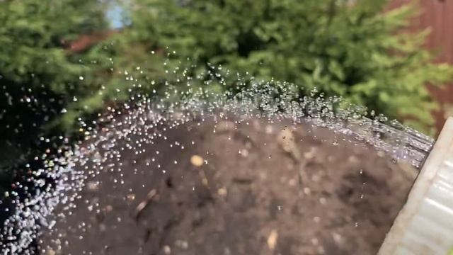 Съёмка камерой IPhone XR