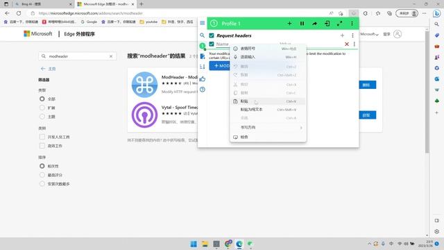 bing无法使用？您的网络设置似乎正在阻止访问此功能。解决方案 смотреть онлайн