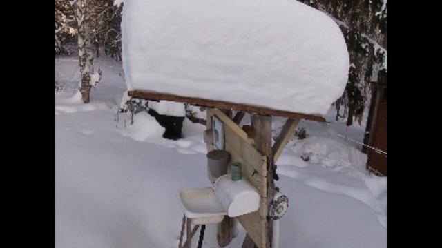 Ночевка в зимнем лесу/Мороз -40/Проверка капканов/Привада/Петли на зайцев. смотреть онлайн