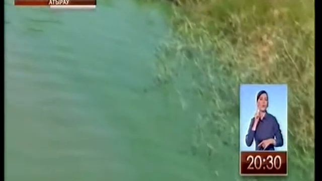 В водах реки Урал обнаружены остатки нефти и других вредных веществ смотреть онлайн