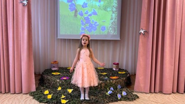 «Лето, ты какого цвета?» МБДОУ «ДСКВ110» Фестиваль «Жемчужина Братска» смотреть онлайн