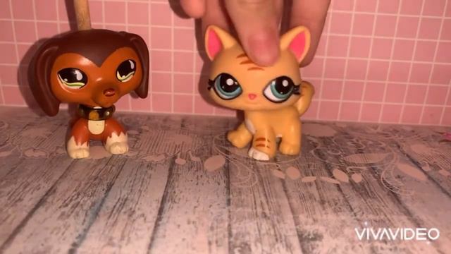 LPS: Моя Коллекция Лпс 2020| Кошки и Собаки СК|1/4 смотреть онлайн