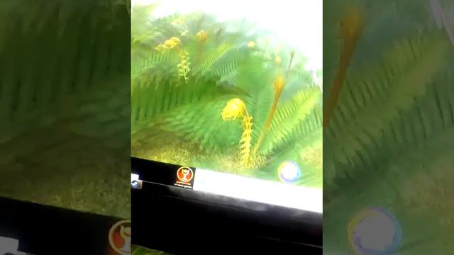 Игра бабочек смотреть онлайн