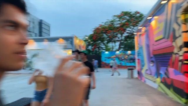 Места которые стоит посетить в Америке - Wynwood Miami | Влог смотреть онлайн