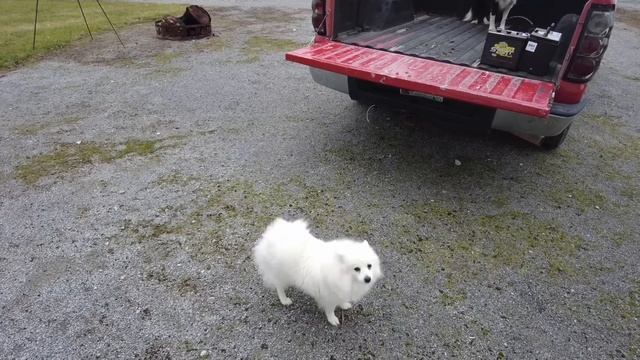 Jön a hideg Kentuckyba akksikra vadászunk a farmon смотреть онлайн