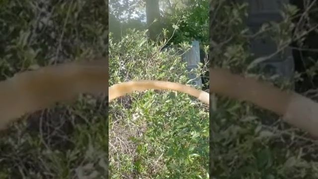 Как раскрывается водонос смотреть онлайн