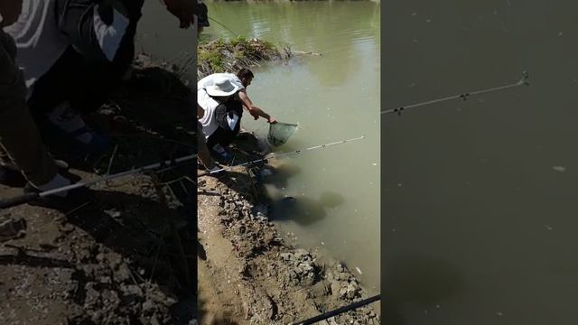 Рыбалка в Чеченской Республике,архив Июнь-Июль 2020 смотреть онлайн