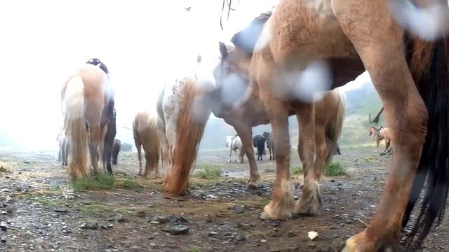 Jek Alaki - Les Fleches Du Grand Khan смотреть онлайн