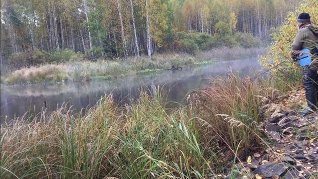 В поисках мест ловли щуки на спиннинг в дражных разрезах сентябрь. смотреть онлайн