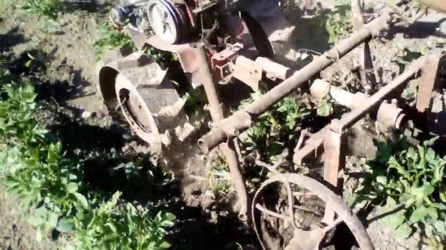 Обрабатываем картофель ежами. смотреть онлайн