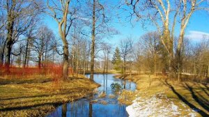 И вот шатёр свой голубой опять раскинула весна, Плещеев А.