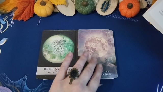 Vlog - L'Oracle de la Lune et Cie - Partie 2 - Les phases lunaires dans l'élément Terre смотреть онлайн