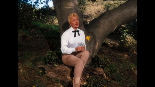 Doris Day - Secret Love (from Calamity Jane) (1953) смотреть онлайн