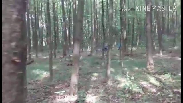 Квадроцыкл . Купимото. Квадрик 125 кубов в лесу. Квадроцыкл . #1. смотреть онлайн