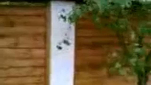 Евро забор смотреть онлайн