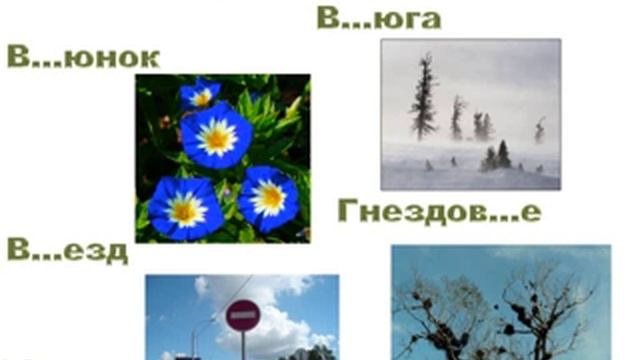 Разделительные твёрдый и мягкий знаки смотреть онлайн