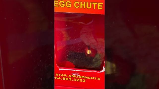 What's Inside of the Golden Mystery Egg? #shorts смотреть онлайн