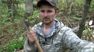 Валка сухостоя часть 7 Изюбр и изюбр мини