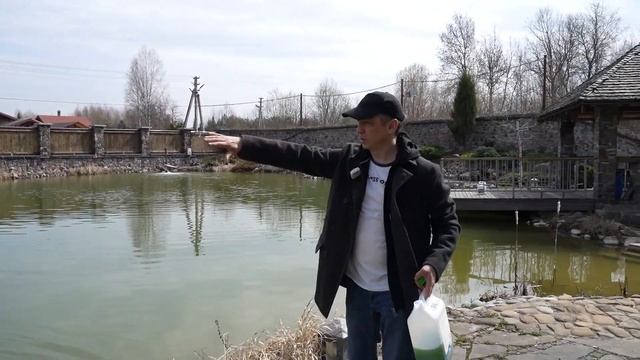 Недорого и просто: Хлорелла для очистки воды в пруду, водоемах смотреть онлайн