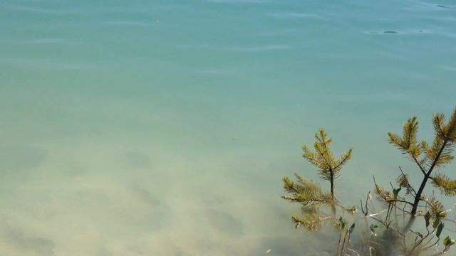 Кыштым. Каолиновый карьер. От автора "Химия – просто" смотреть онлайн