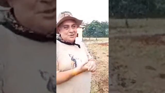 Со львом Симба делимся с последними новостями из Танзании смотреть онлайн