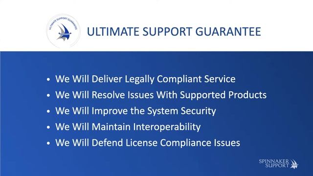 Introducing Spinnaker Support’s Ultimate Support Guarantee | Spinnaker Support смотреть онлайн