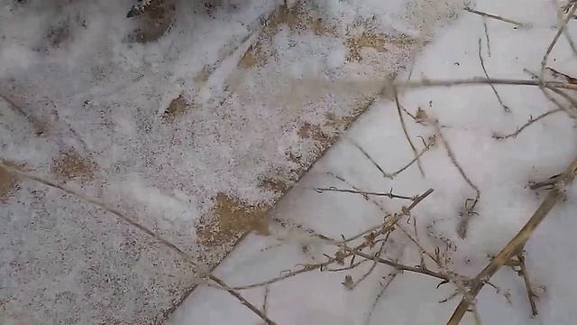 силки работают идеально смотреть онлайн