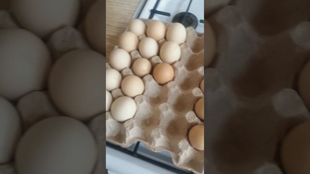спектр 84-1 смотреть онлайн