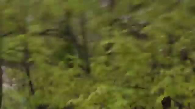 Река Горькая Затопление Село Гражданское смотреть онлайн