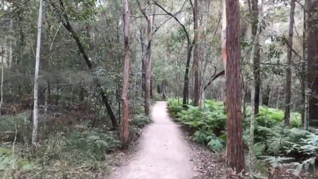 Hiking the Glass House Mountains смотреть онлайн