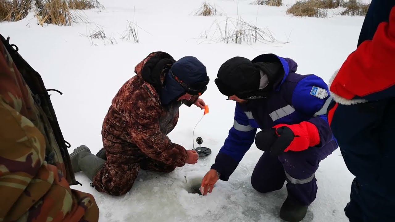 Оставили жерлицы на ночь и вот что случилось! Зимняя рыбалка на жерлицы. Первый лед 2022-2023. смотреть онлайн