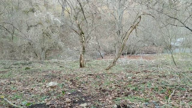 Коп по битым поселениям. смотреть онлайн