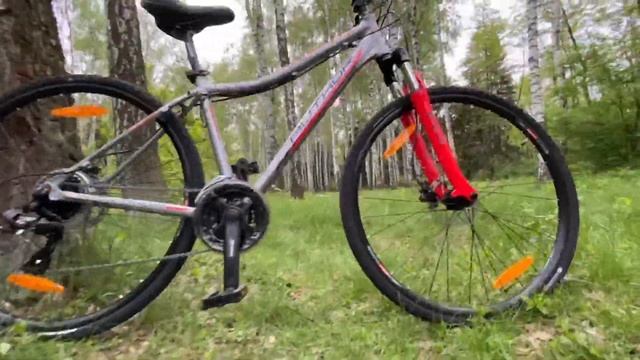 Author horizon ASL 29” 2020 смотреть онлайн