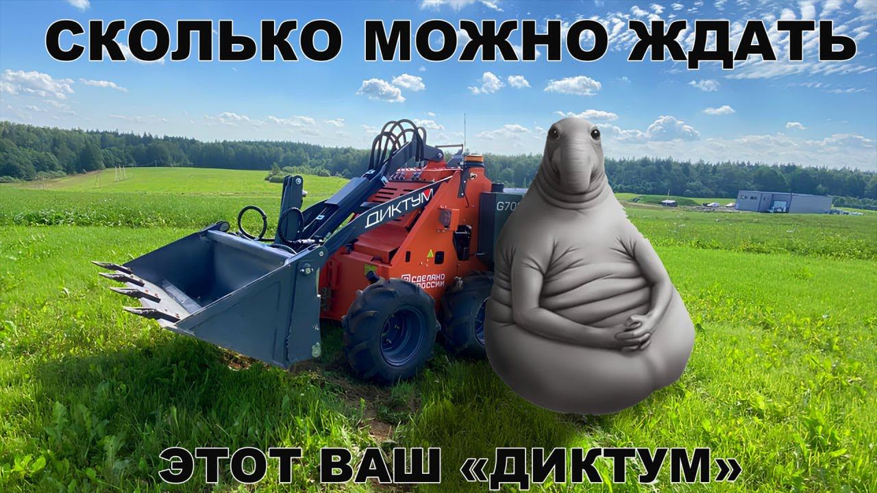 «Диктум», почему так долго?! смотреть онлайн