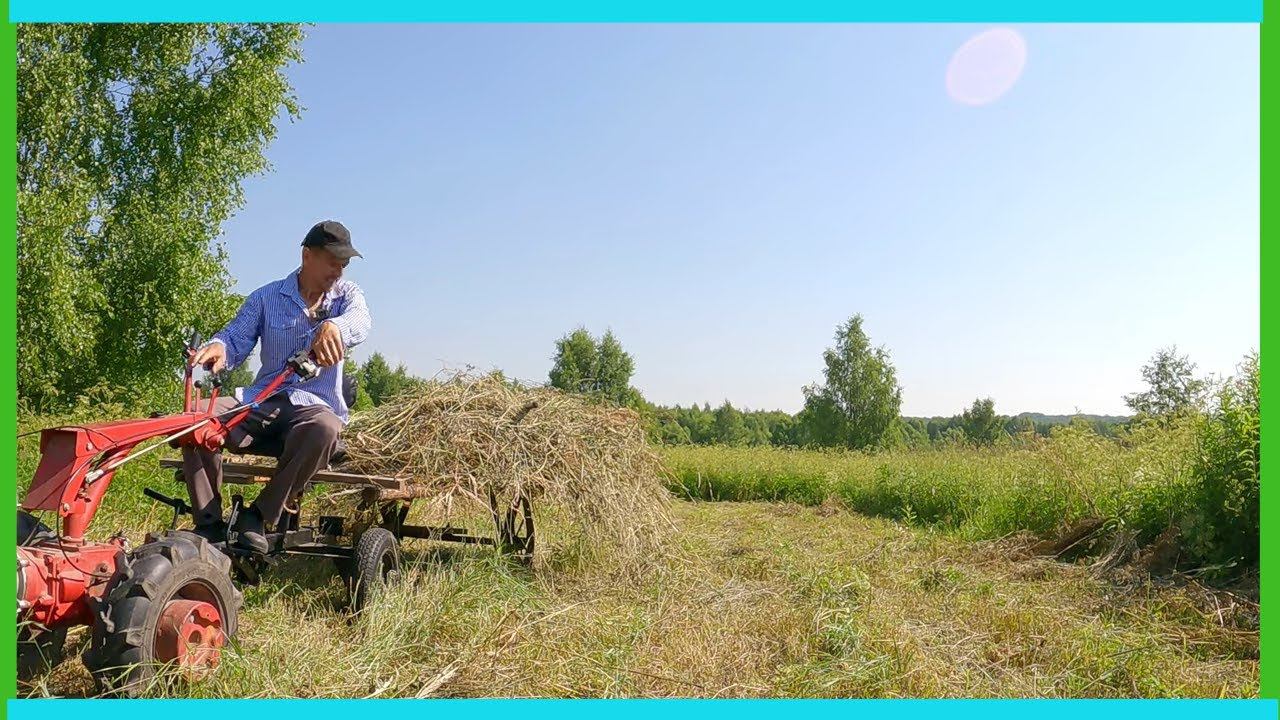 Выручил через полгода, сенокос и деревенские будни в "адскую" жару. смотреть онлайн