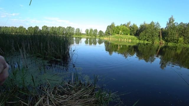 Таблетка для рыбалки в которая заставляет всю рыбу клевать. Таблетка на всю рыбу Название таблетк смотреть онлайн