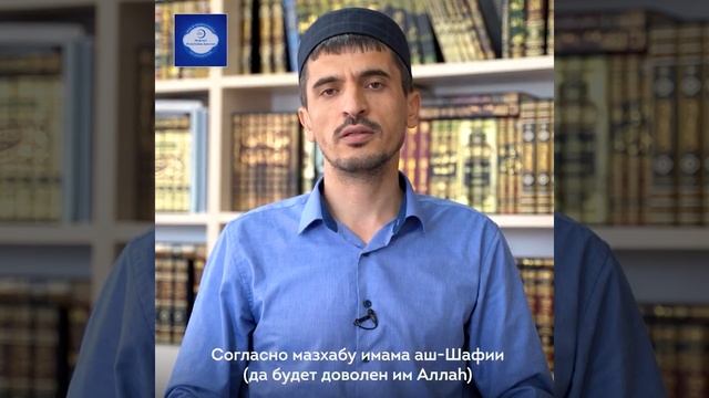Можно ли употреблять в пищу мясо осьминога, кальмара и мидии? смотреть онлайн