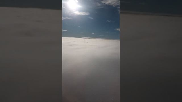 Под крылом самолёта а чем то поёт зелёное море тайги смотреть онлайн