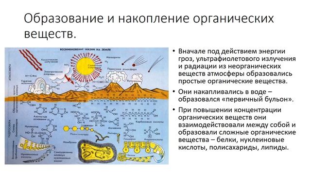 Происхождение жизни на Земле