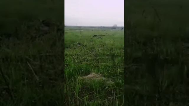 Выравниваем поле смотреть онлайн