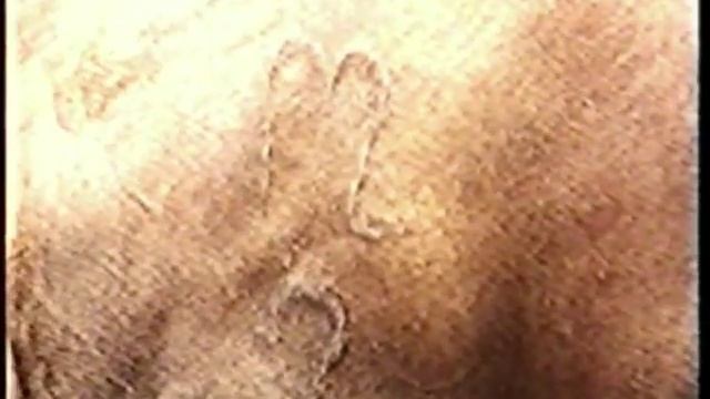 Лошади России Die Pferde Russlands Horses Russia ЛОКАЙСКАЯ