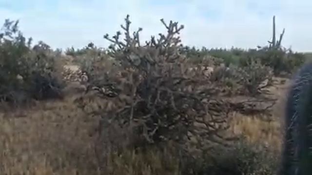 Монастырь святого Антония Великого смотреть онлайн