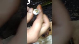 Разборка разгрузка гидрокомпенсаторов нового типа ВАЗ Нива, Тайга, Шевроле NIVA