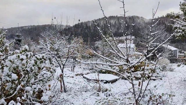 Снег . Скоро зима. смотреть онлайн