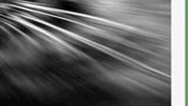 tutorial photoshop cs 3 - membuat gambar menjadi blur смотреть онлайн