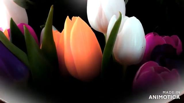 Поздравление на 8 марта для всех девушек и девочек страны смотреть онлайн